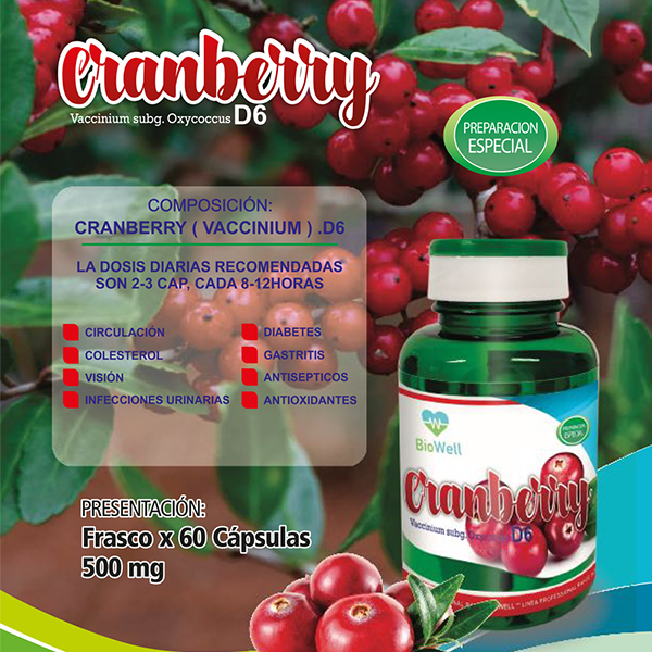 Cranberry 60 cápsulas - Image 2